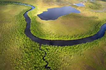 Peat bog lands and taiga boreal forest in the Sjaunja Bird Protection Area.