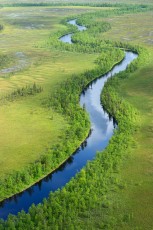 Peat bog lands and taiga boreal forest in the Sjaunja Bird Protection Area.