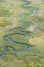 The headwater lands of Vietasätno river, Stora Sjöfallet National Park, Laponia UNESCO World Heritage Site, Greater Laponia rewilding area, Lapland, Norrbotten, Sweden