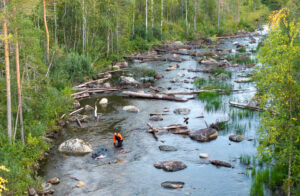 Abramson river