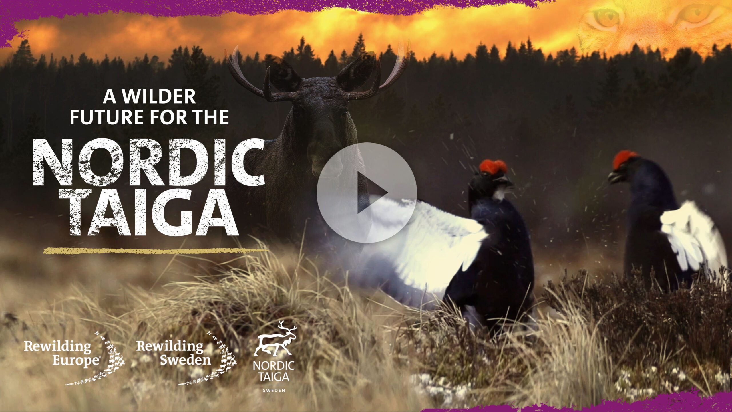 Watch our video on YouTube