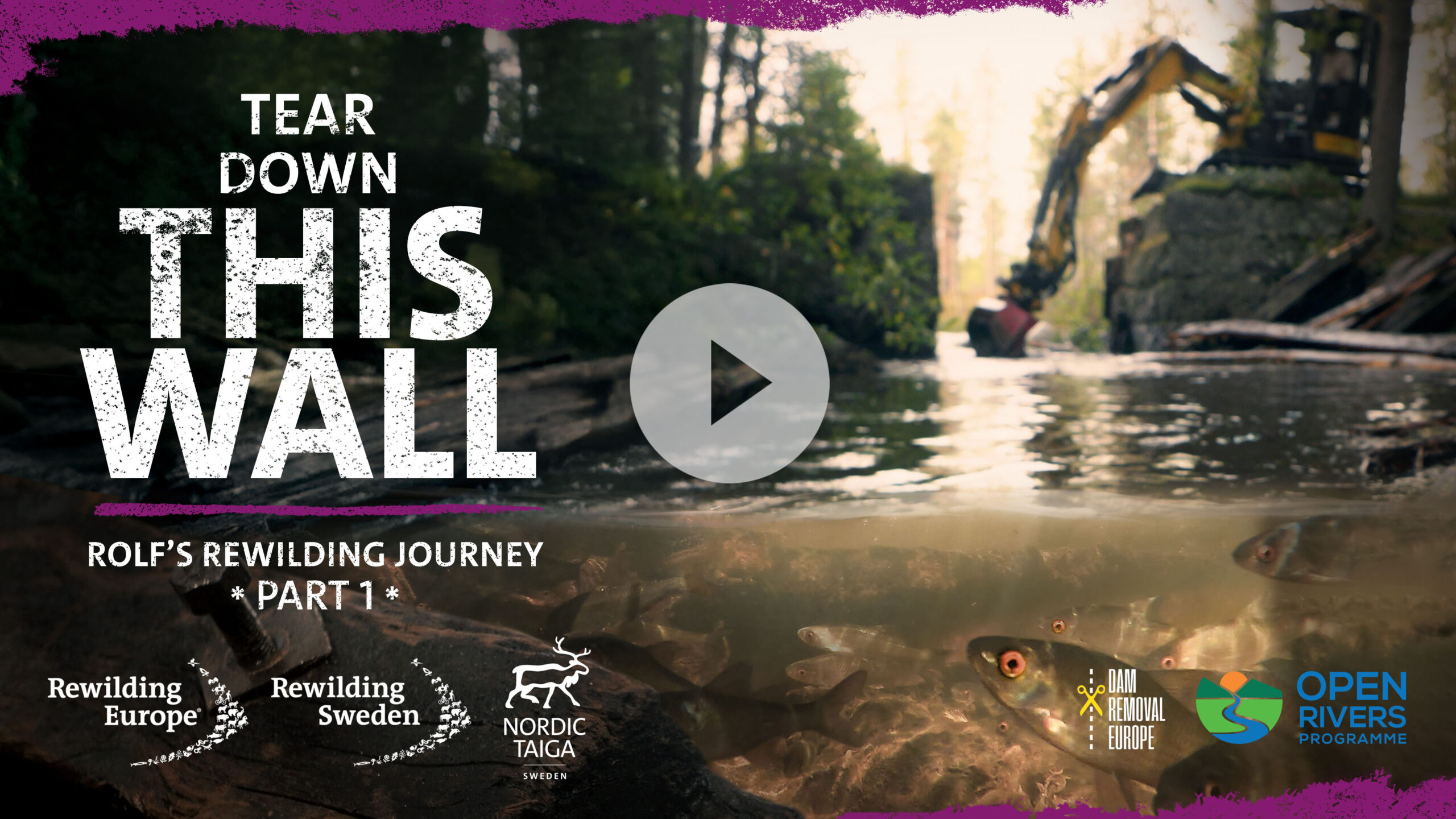 Watch our video on YouTube