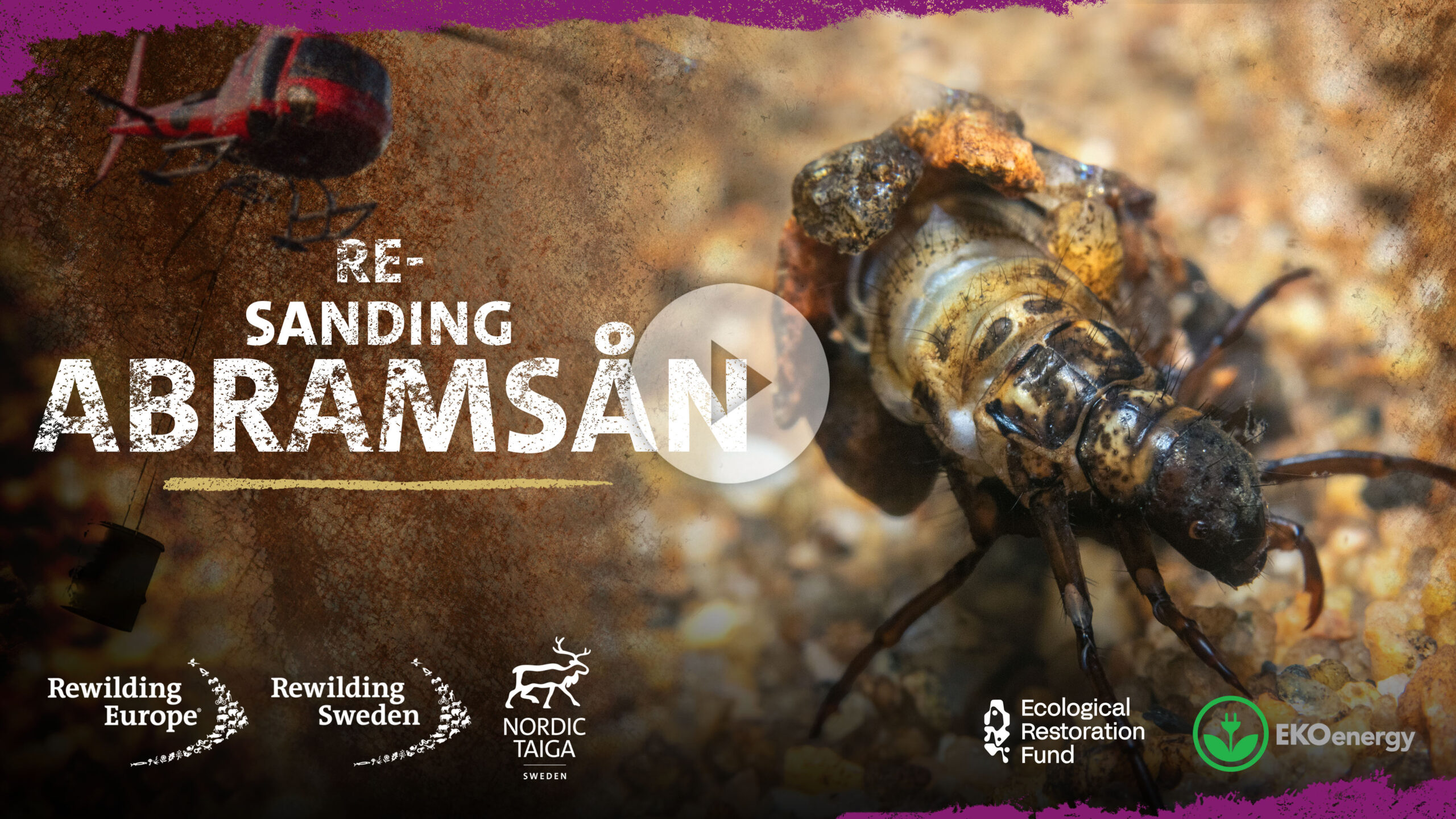 Watch our video on YouTube