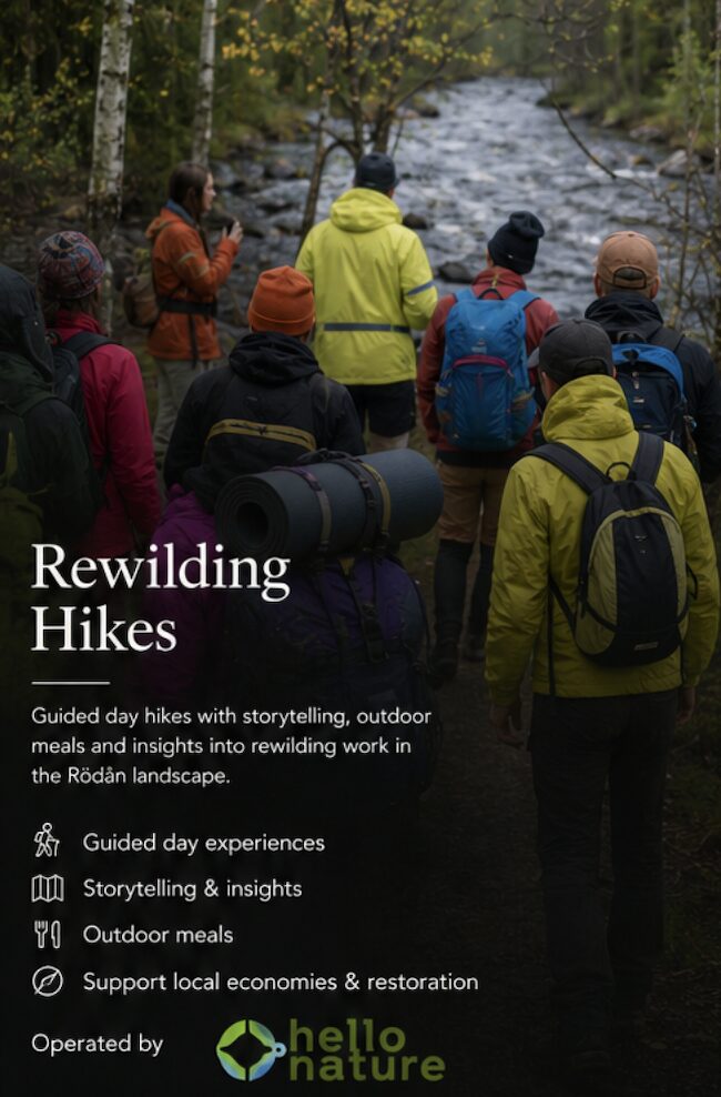 Rewilding Hikes