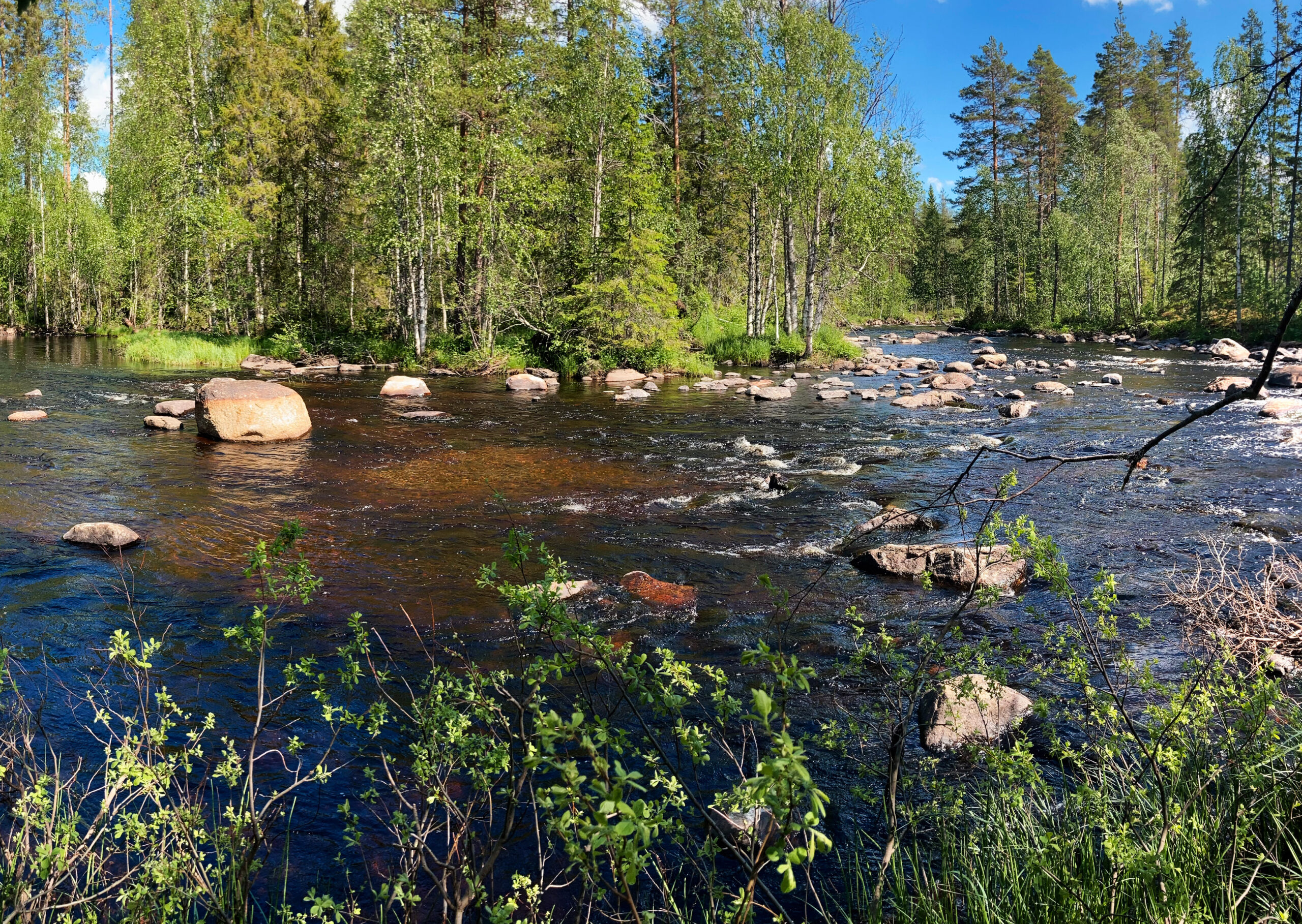 Retrout-utm-1 Retrout-utm-1