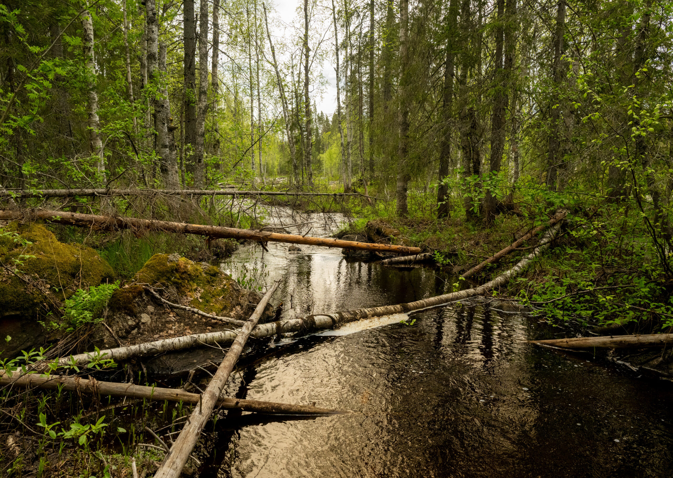 Retrout-utm-2 Retrout-utm-2