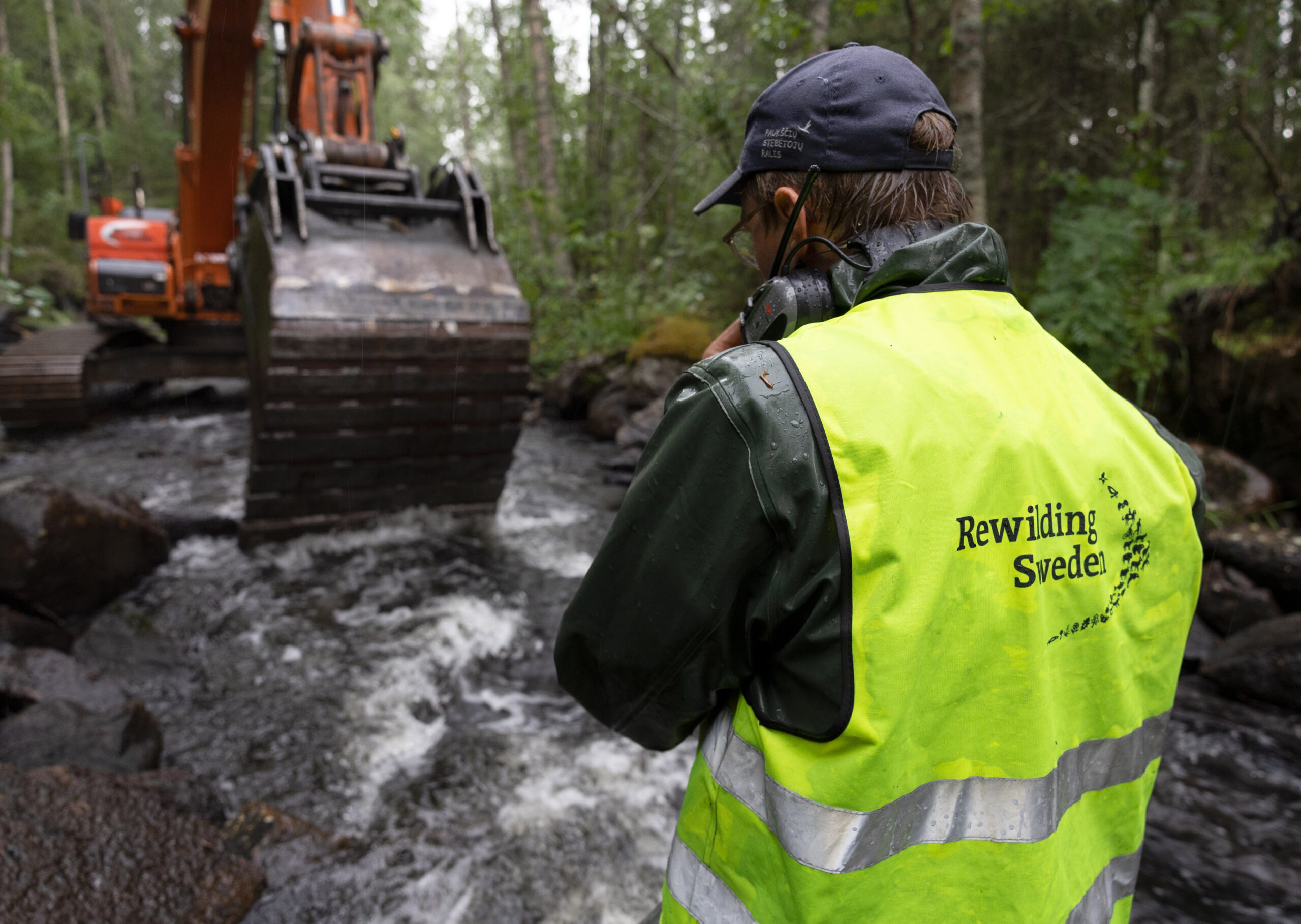 SolitionStructure-7-Rewilding Sweden