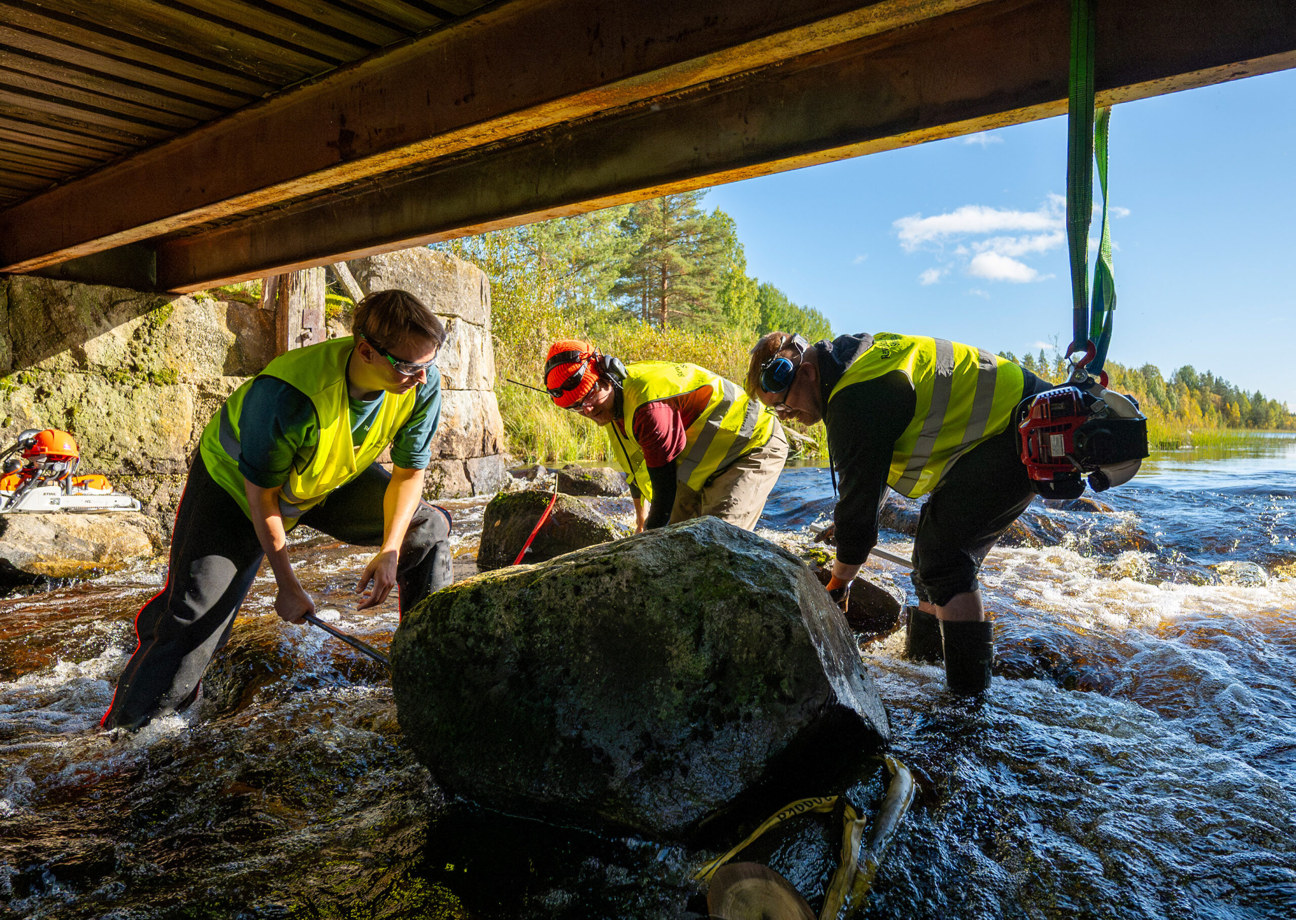 Solution-6-Rewilding Sweden Solution-6-Rewilding Sweden