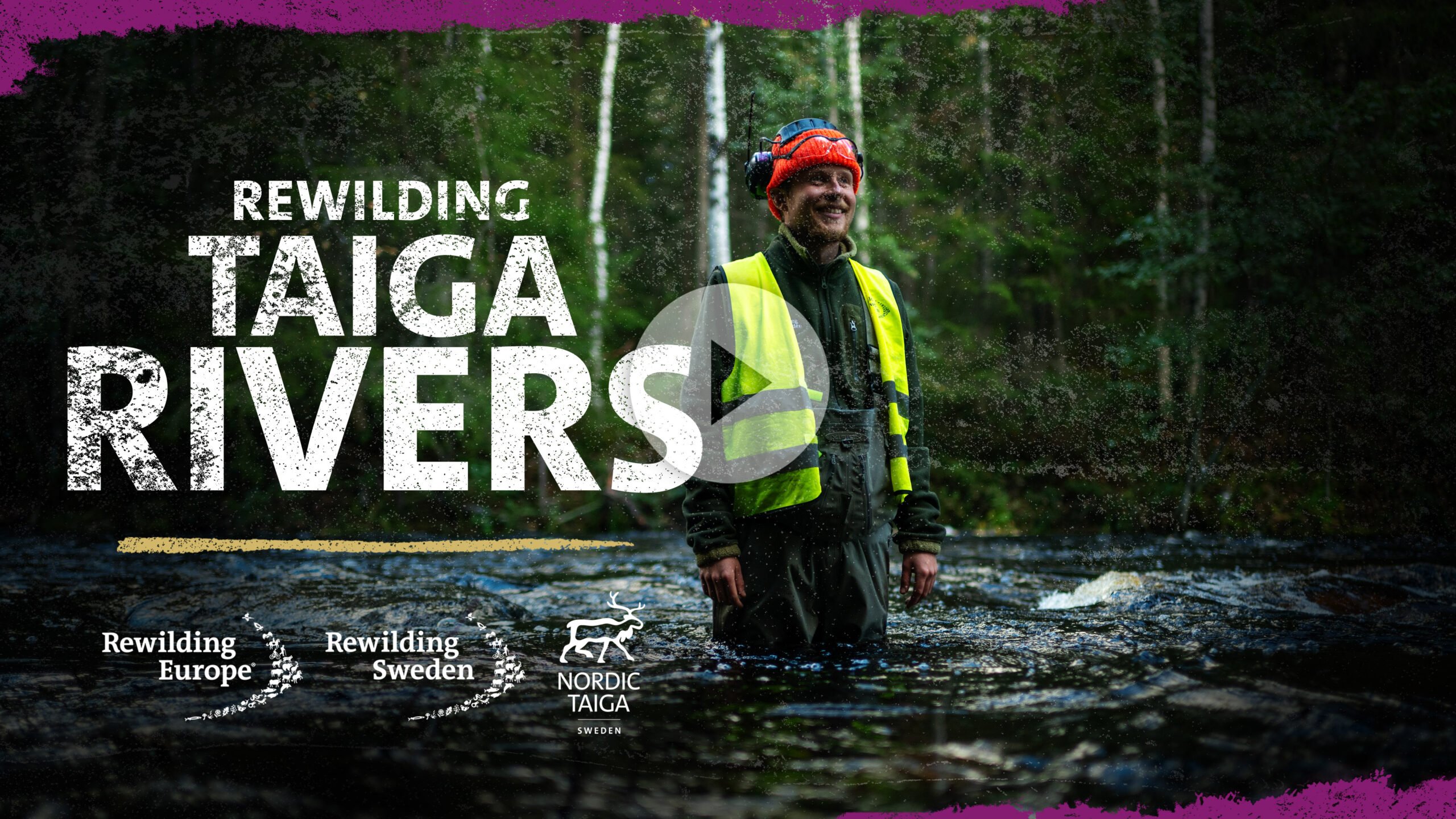 Rewilding restoration film